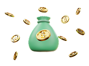Money Bag