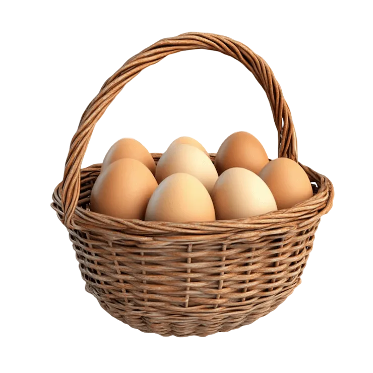 01JVF7DHHN0HBXN61N6KHZRPCA